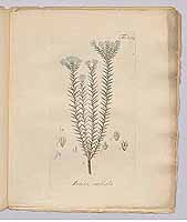  no thumbnail available