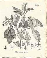  no thumbnail available