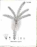  no thumbnail available