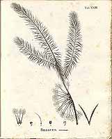  no thumbnail available