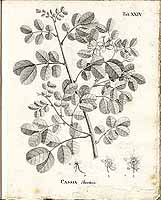  no thumbnail available