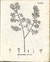  no thumbnail available