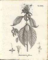  no thumbnail available