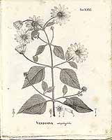  no thumbnail available