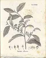  no thumbnail available