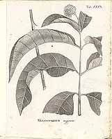  no thumbnail available