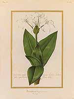 no HD illustration available (5) 