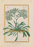 no HD illustration available (5) 