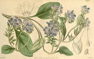  no thumbnail available