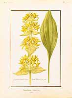 no HD illustration available (5) 