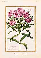 no HD illustration available (5) 