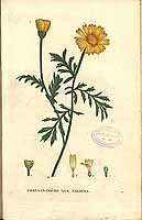  no thumbnail available