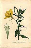  no thumbnail available