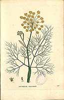  no thumbnail available