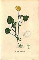  no thumbnail available