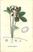  no thumbnail available