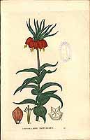  no thumbnail available