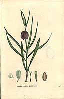  no thumbnail available