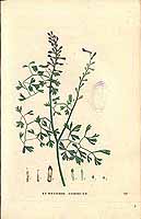  no thumbnail available