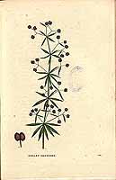  no thumbnail available