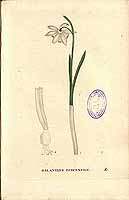  no thumbnail available