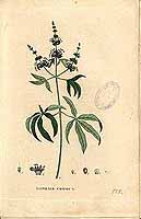  no thumbnail available