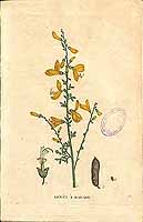  no thumbnail available