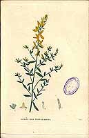  no thumbnail available