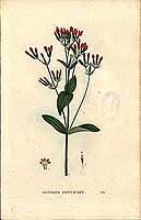  no thumbnail available