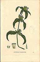  no thumbnail available