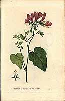  no thumbnail available