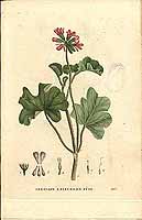  no thumbnail available