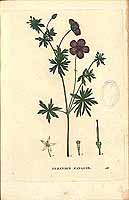  no thumbnail available