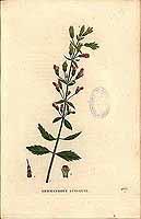  no thumbnail available