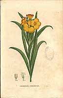  no thumbnail available