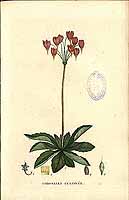  no thumbnail available