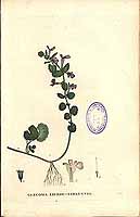  no thumbnail available