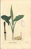  no thumbnail available