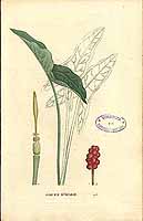  no thumbnail available