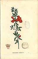  no thumbnail available