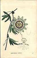  no thumbnail available