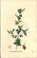  no thumbnail available