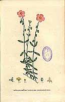  no thumbnail available