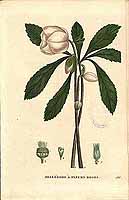  no thumbnail available