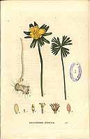  no thumbnail available