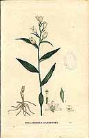  no thumbnail available