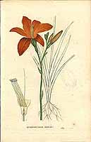  no thumbnail available