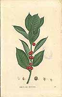  no thumbnail available