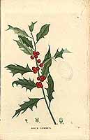  no thumbnail available