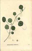  no thumbnail available